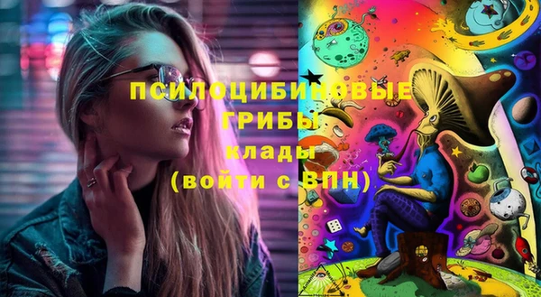 стафф Волосово