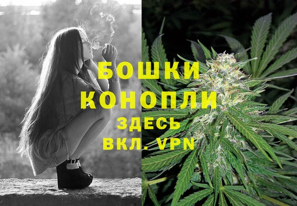 стафф Волосово