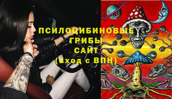 стафф Волосово