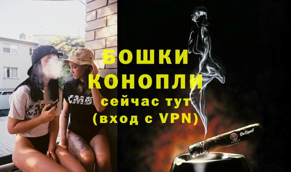 стафф Волосово